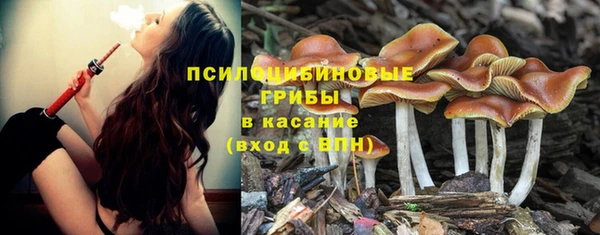 ешки Абинск