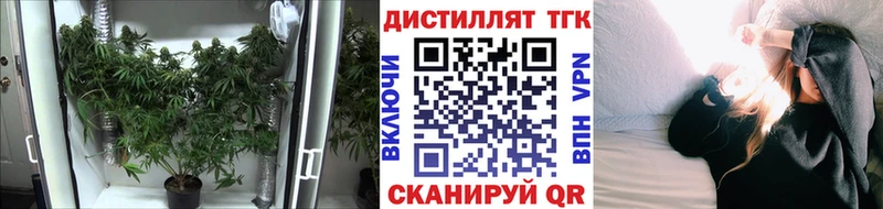 ТГК жижа  kraken ССЫЛКА  Александровск-Сахалинский 