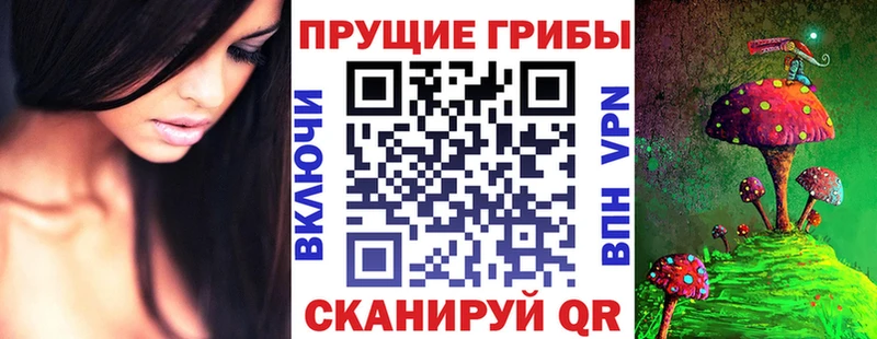 Галлюциногенные грибы Psilocybe  Александровск-Сахалинский 